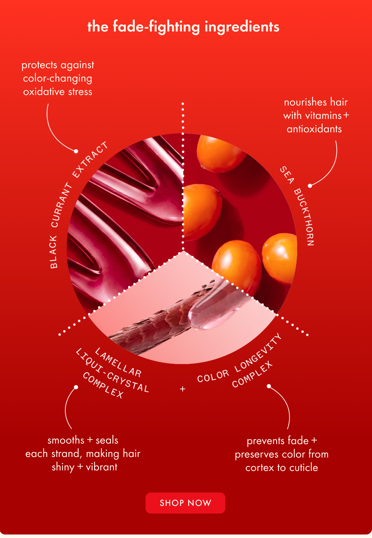 the protector collection ingredients