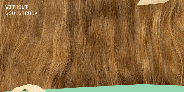 before and after using soulstruck dry hair mask