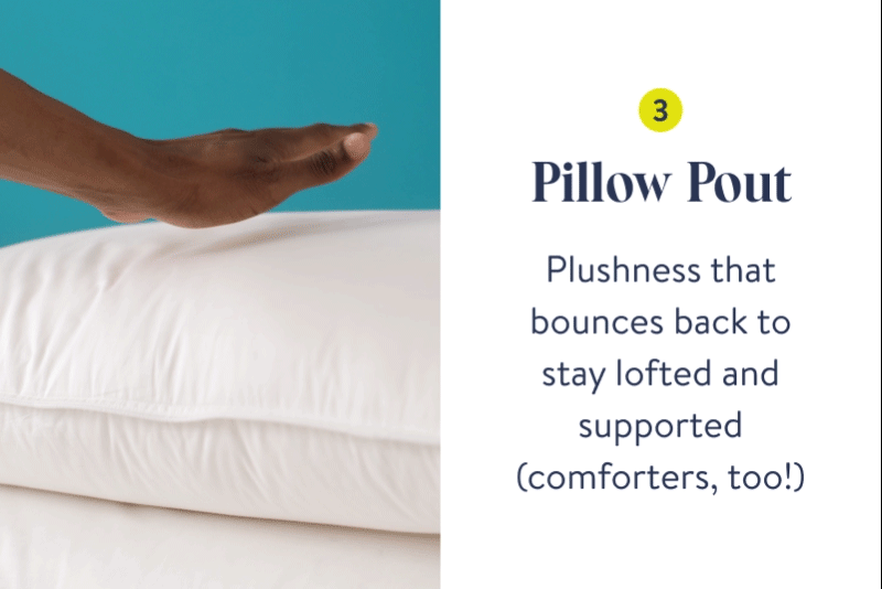 Pillow Pout