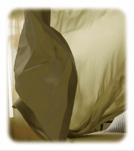 Meet our Newest Sheet