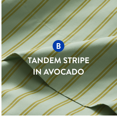 Tandem Stripe in Avocado