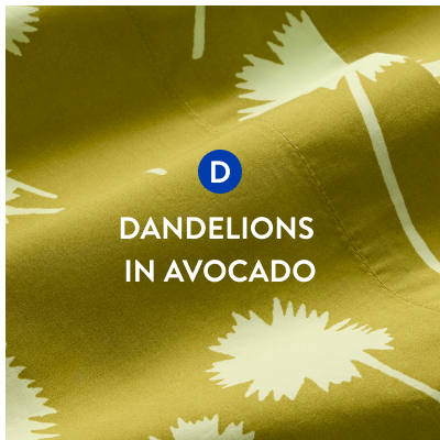 Dandelions in Avocado
