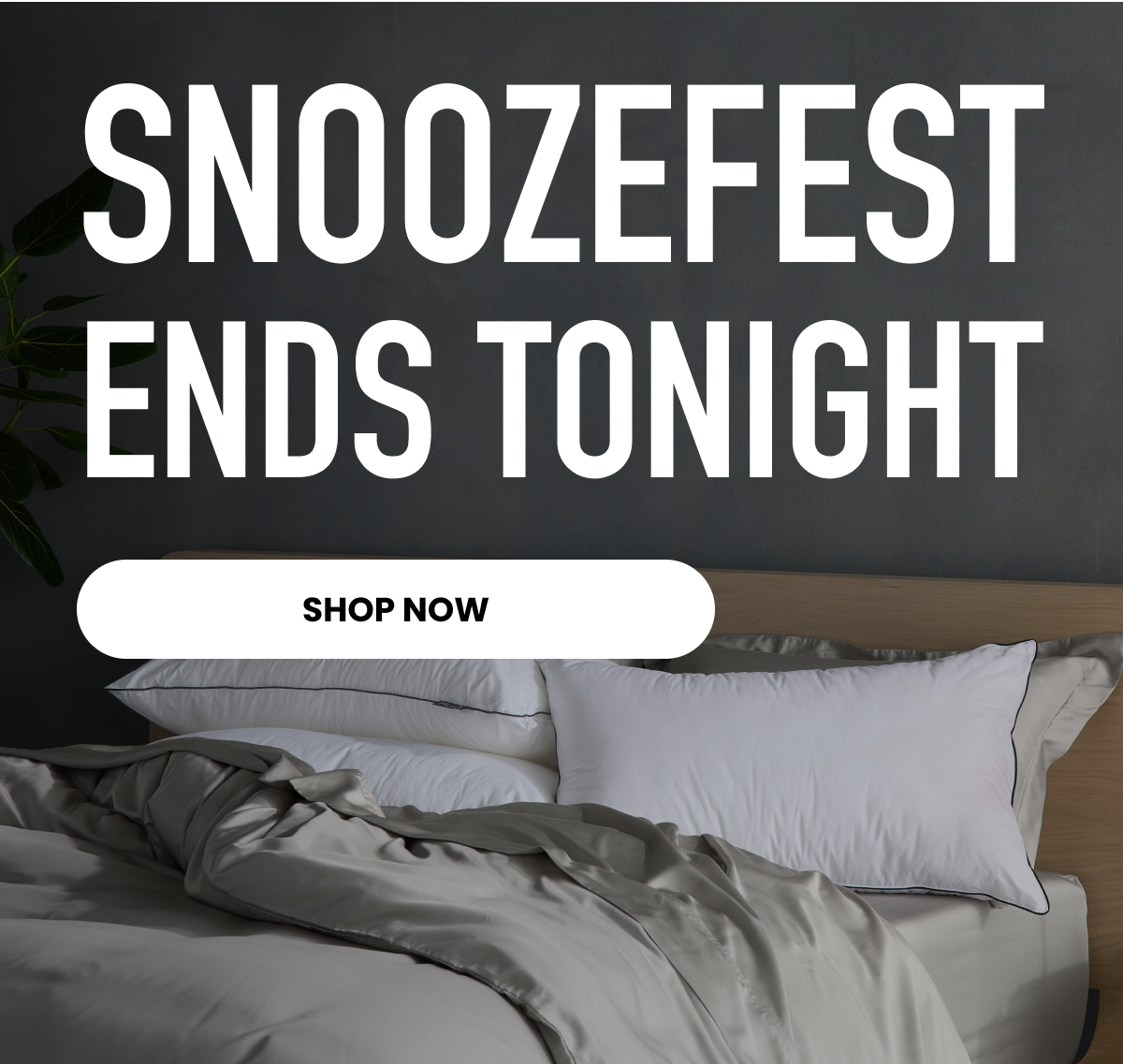 Snoozefest Ends TONIGHT.
