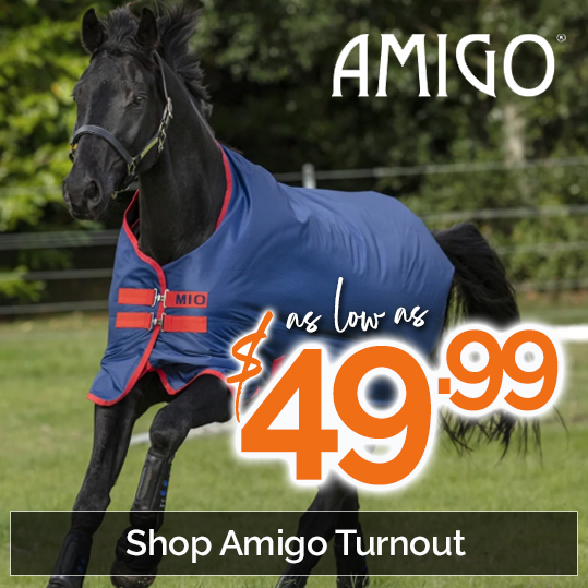 Shop Amigo Turnouts as low as $49.99