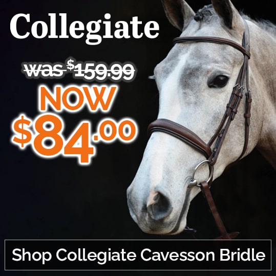 Shop Collegiate Cavesson Bridle Now $84! Shop Collegiate Cavesson Bridle Now $84!