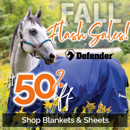 Fall Flash Sales! Up to 50% Off Blankets & Sheets!