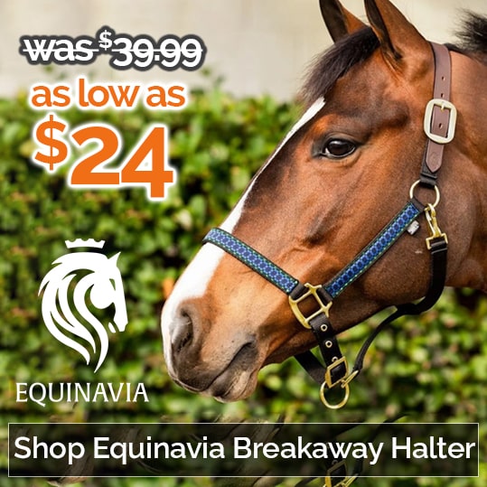 Shop Equinavia Breakaway Halter as low as $24! Shop Equinavia Breakaway Halter as low as $24!