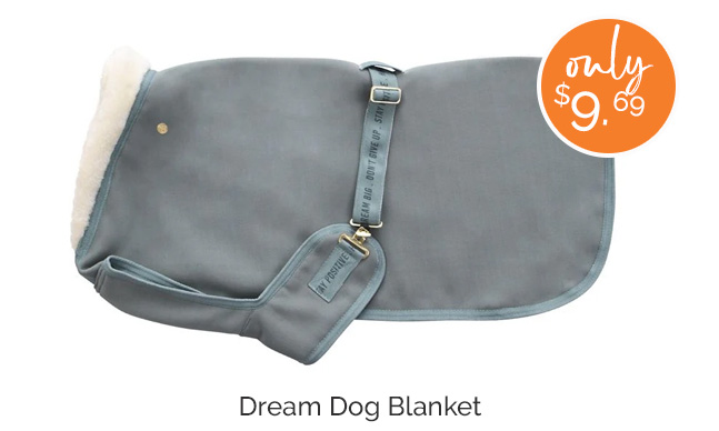 Dream Dog Blanket—Only $9.69