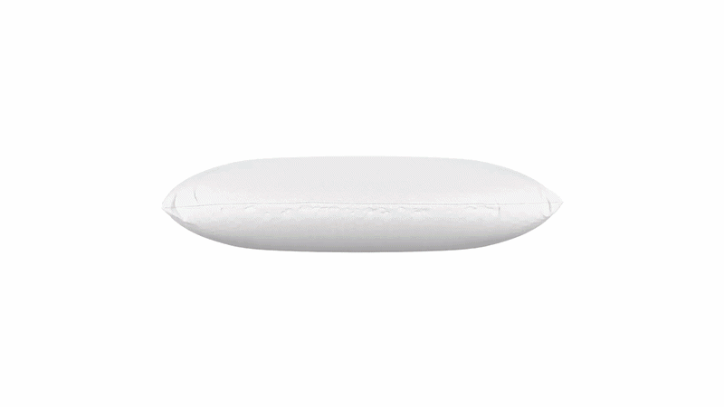 New year. New semester. Same old pillow?