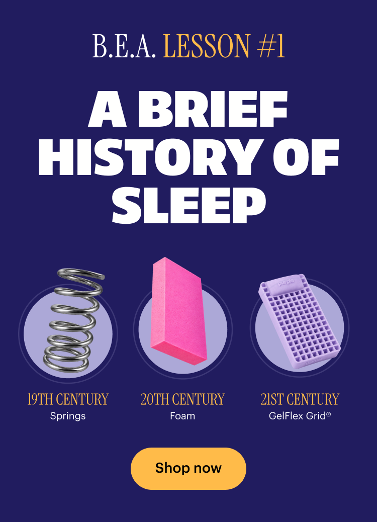 A BRIEF HISTORY OF SLEEP