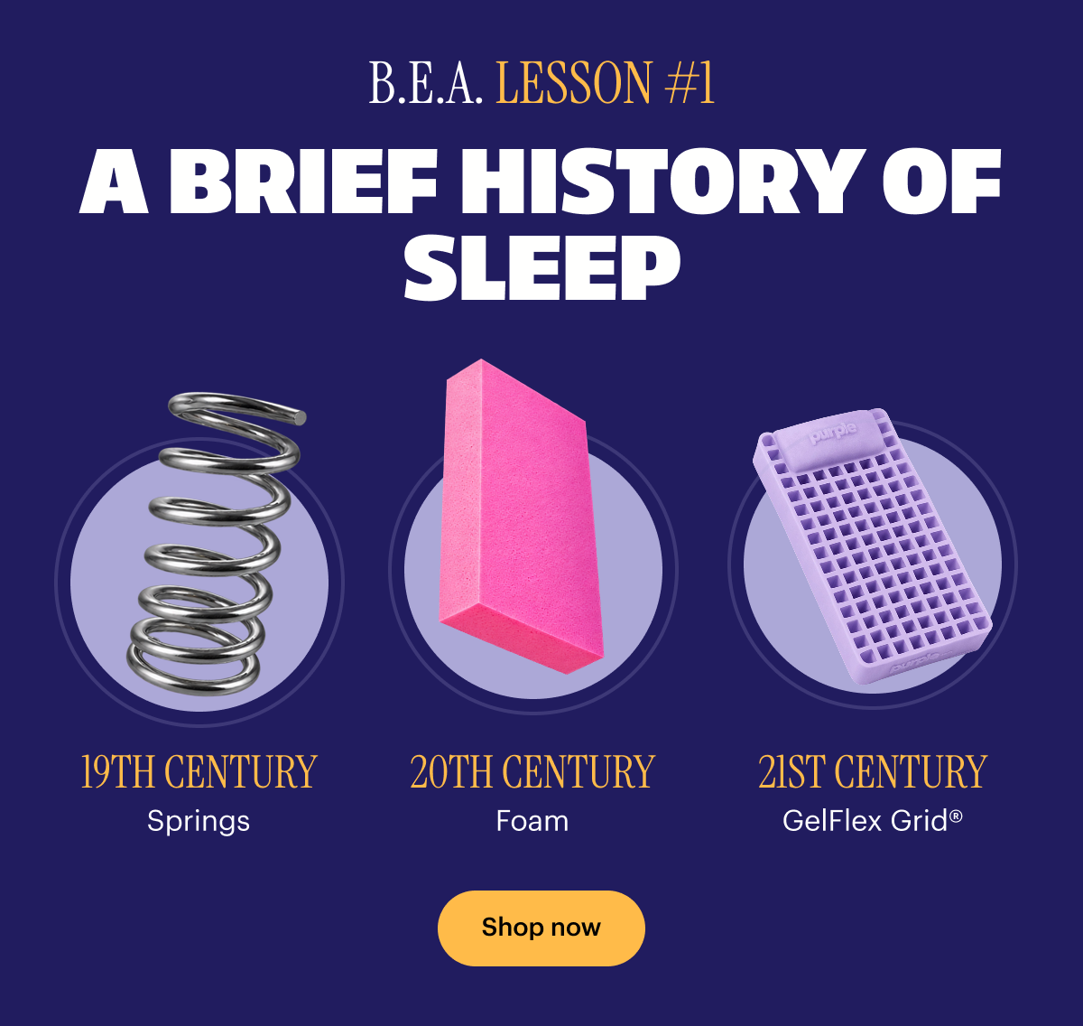 A BRIEF HISTORY OF SLEEP