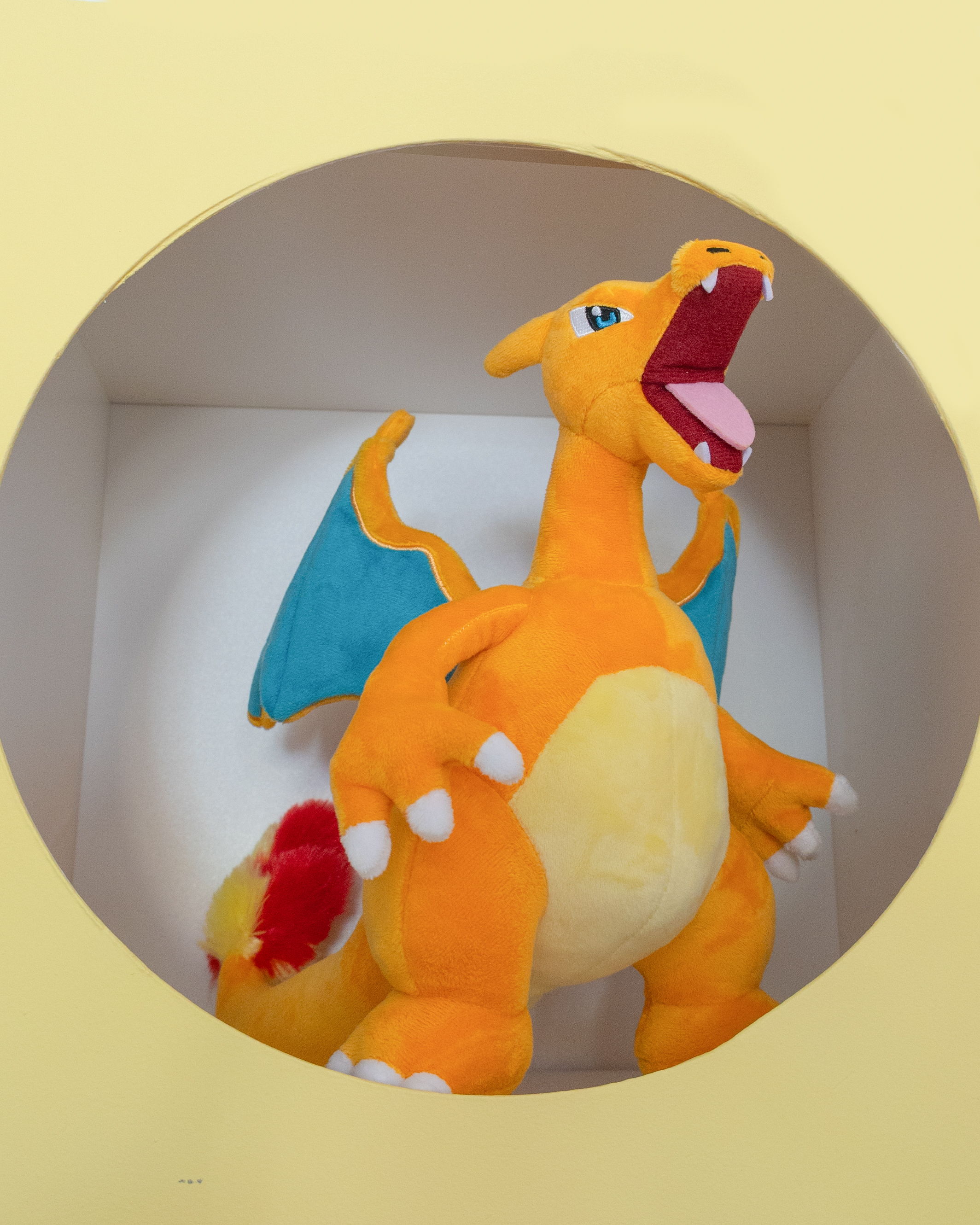 Charizard 10