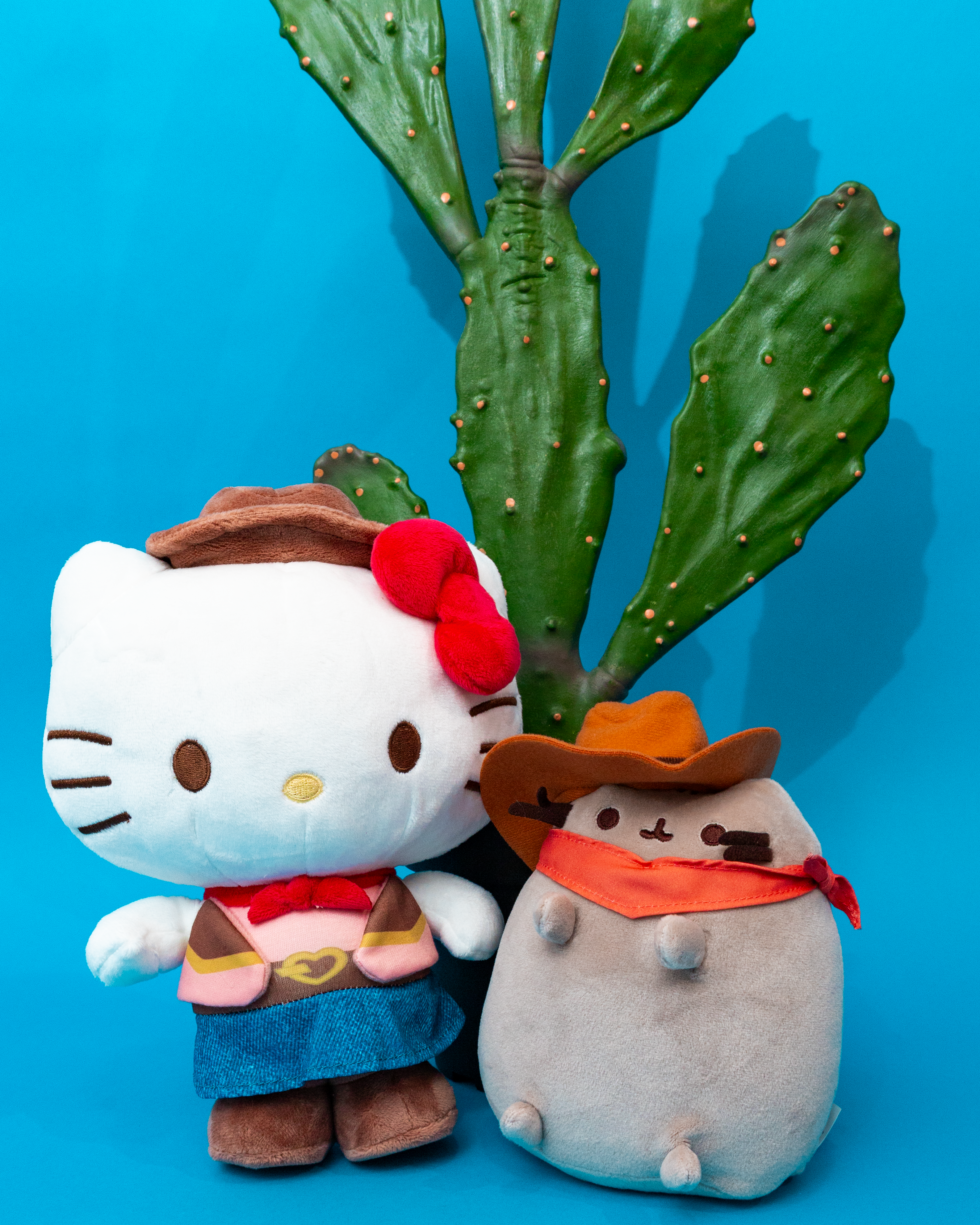 Hello Kitty and Pusheen Cowboy