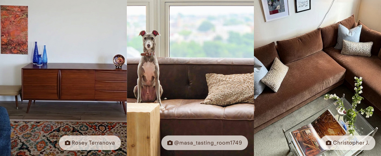 Visit Poly & Bark's Instagram