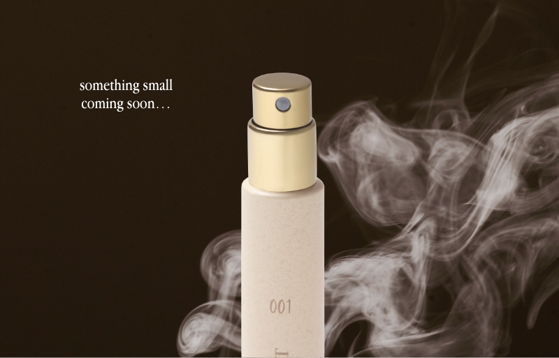 WeWoreWhat Holiday 2025 Collection Coming Soon WeWoreWhat Holiday 2025 Collection Coming Soon