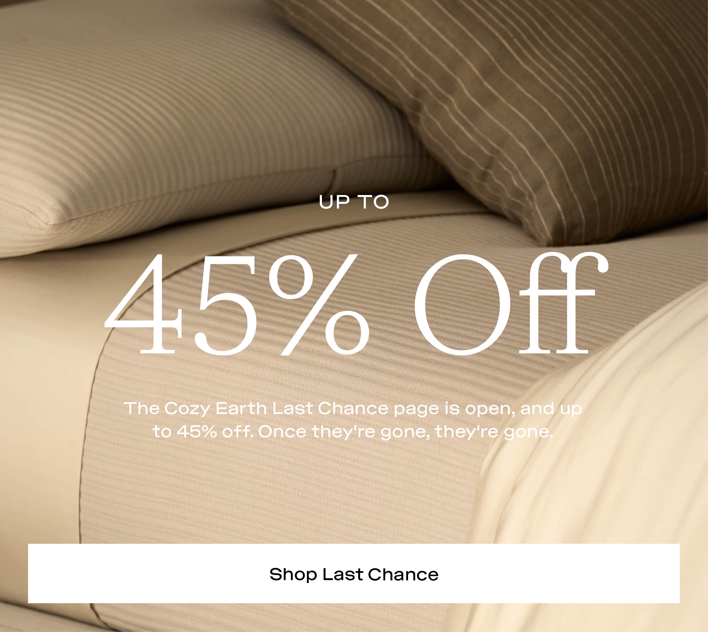 SHOP LAST CHANCE 45% OFF