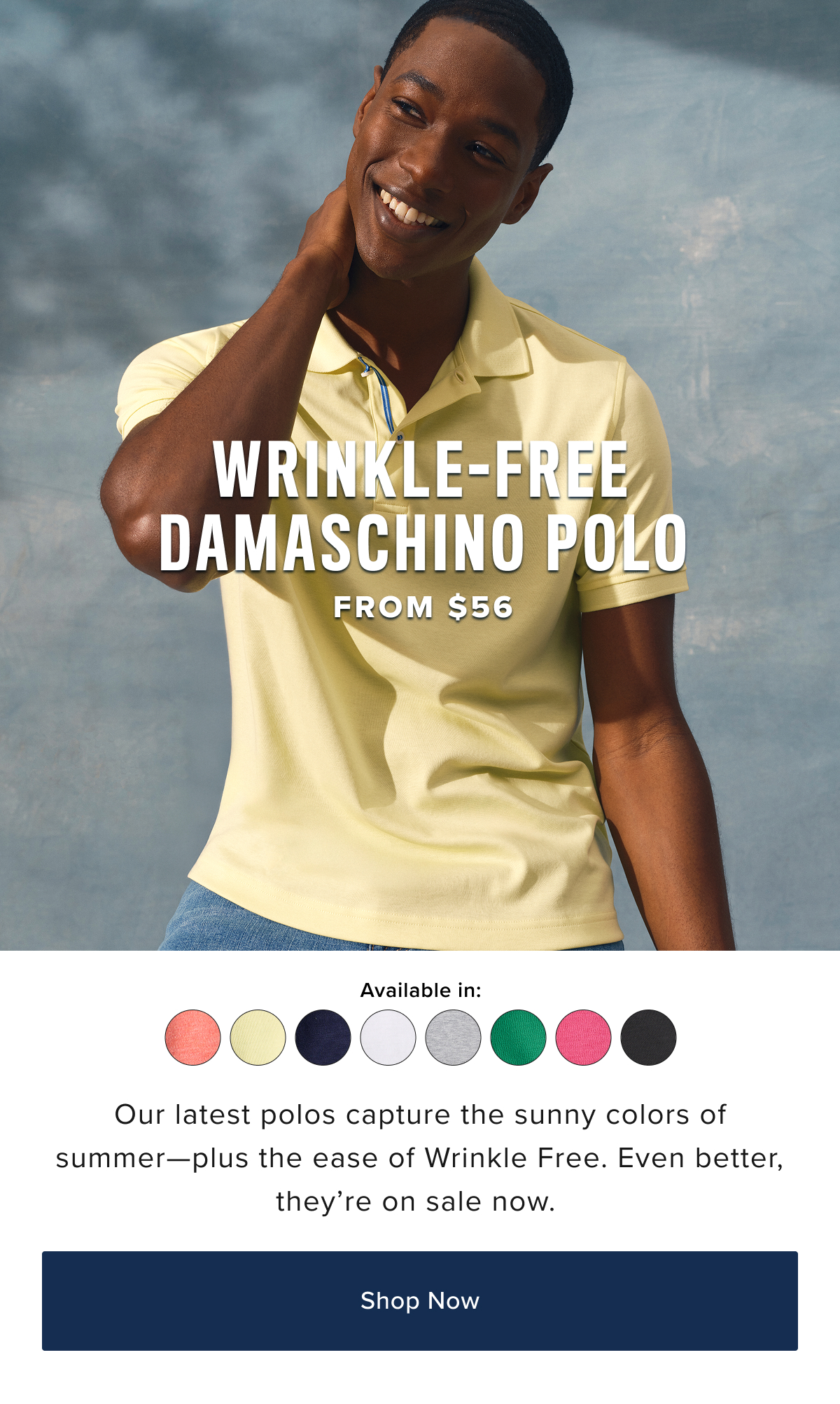 Wrinkle-Free Damaschino Polo From $56