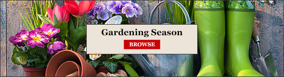 Browse Gardening