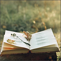 blog