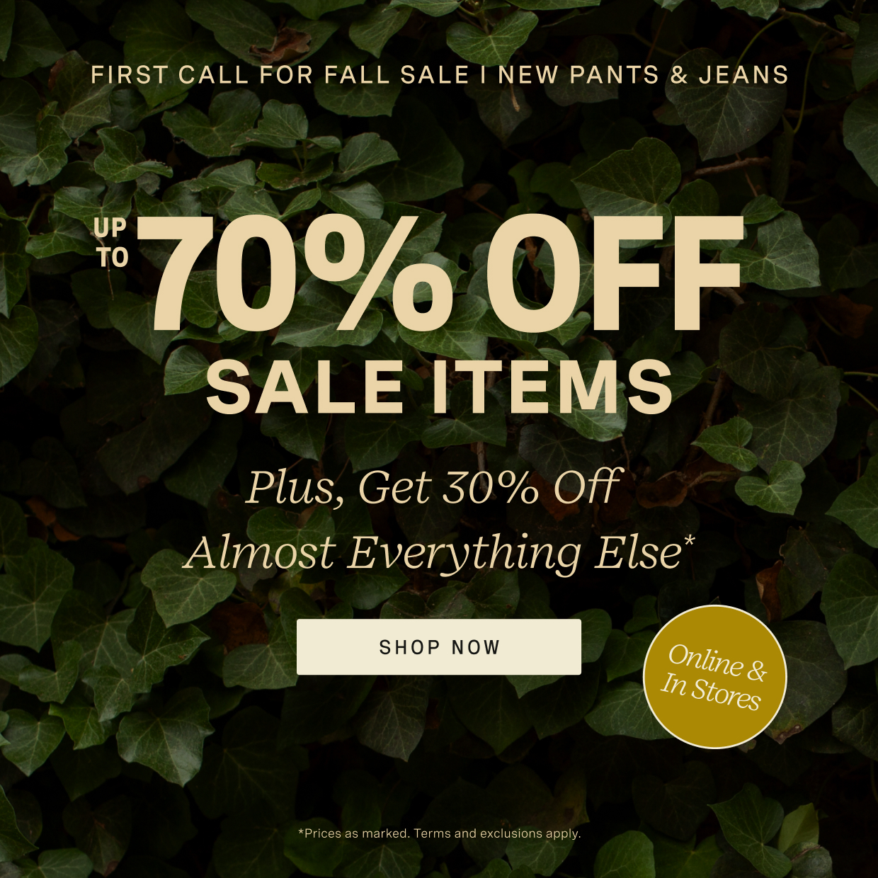Shop Pants