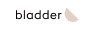 Bladder Shop All