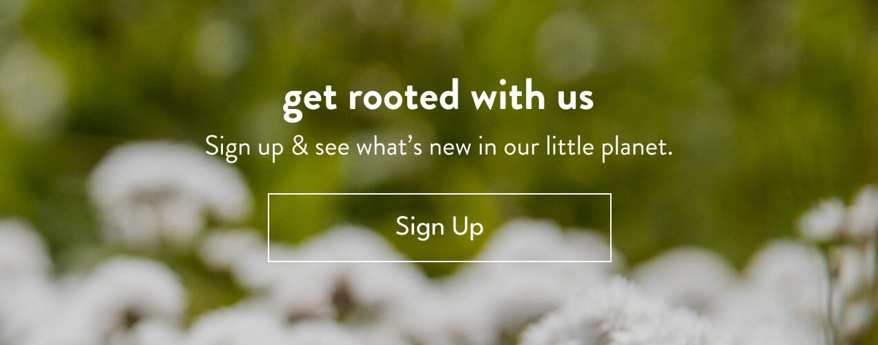 get rooted with us | Sign up & see what's new in our little planet | Sign Up