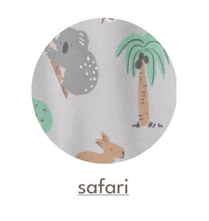 safari