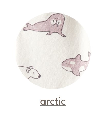 Arctic