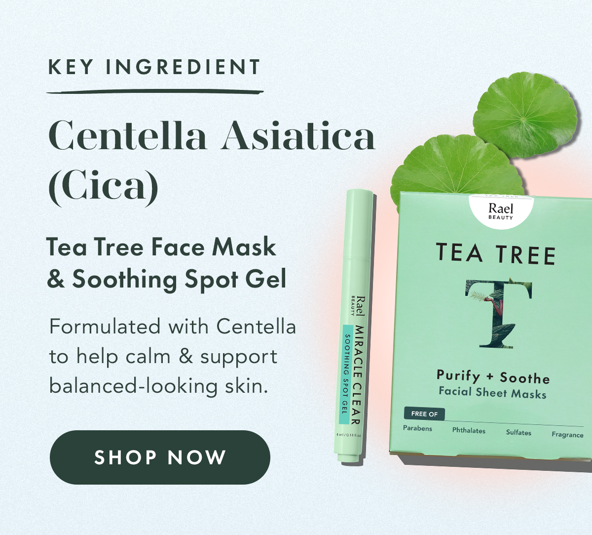 Centella Asiatica (Cica). Key Ingredient In: Tea Tree Face Mask and Soothing Spot Gel. Formulated with centella to help calm and support balanced-looking skin. Shop Now