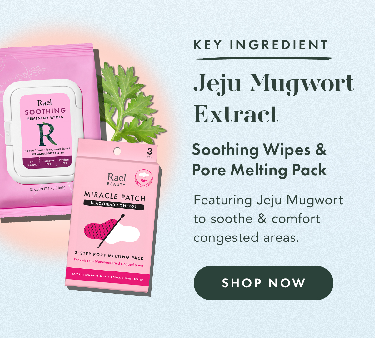 Jeju Mugwort Extract. Key Ingredient In: Pore Melting Pack and Soothing Wipes. Featuring Jeju mugwort to soothe and comfort congested areas. Shop Now