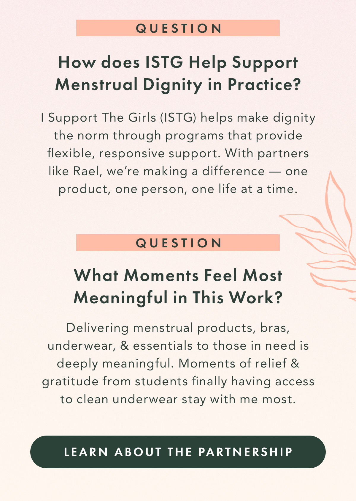 Q. How does ISTG help support menstrual dignity in practice? A: I Support The Girls (ISTG) helps make dignity the norm through programs that provide flexible, responsive support. With partners like Rael, we’re making a difference—one product, one person, one life at a time. Q. What moments feel most meaningful in this work? A: Delivering menstrual products, bras, underwear, and essentials to those in need is deeply meaningful. Moments of relief and gratitude from students finally having access to clean underwear stay with me most. Learn About the Partnership
