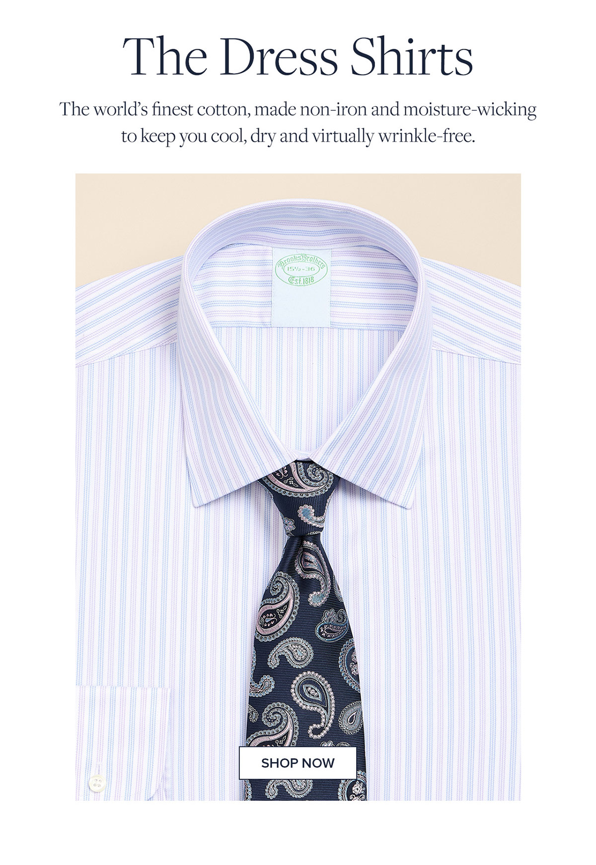 Shop the Dress Shirts