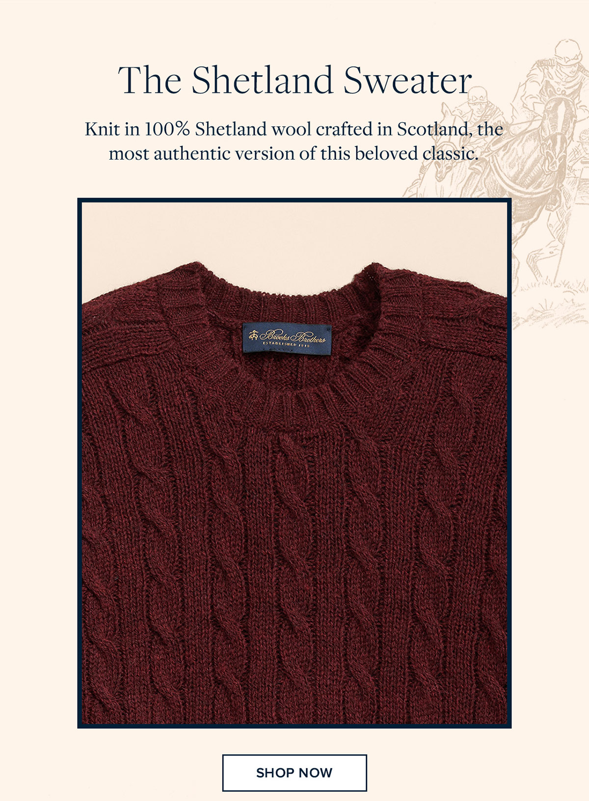 Shop Shetland Sweater