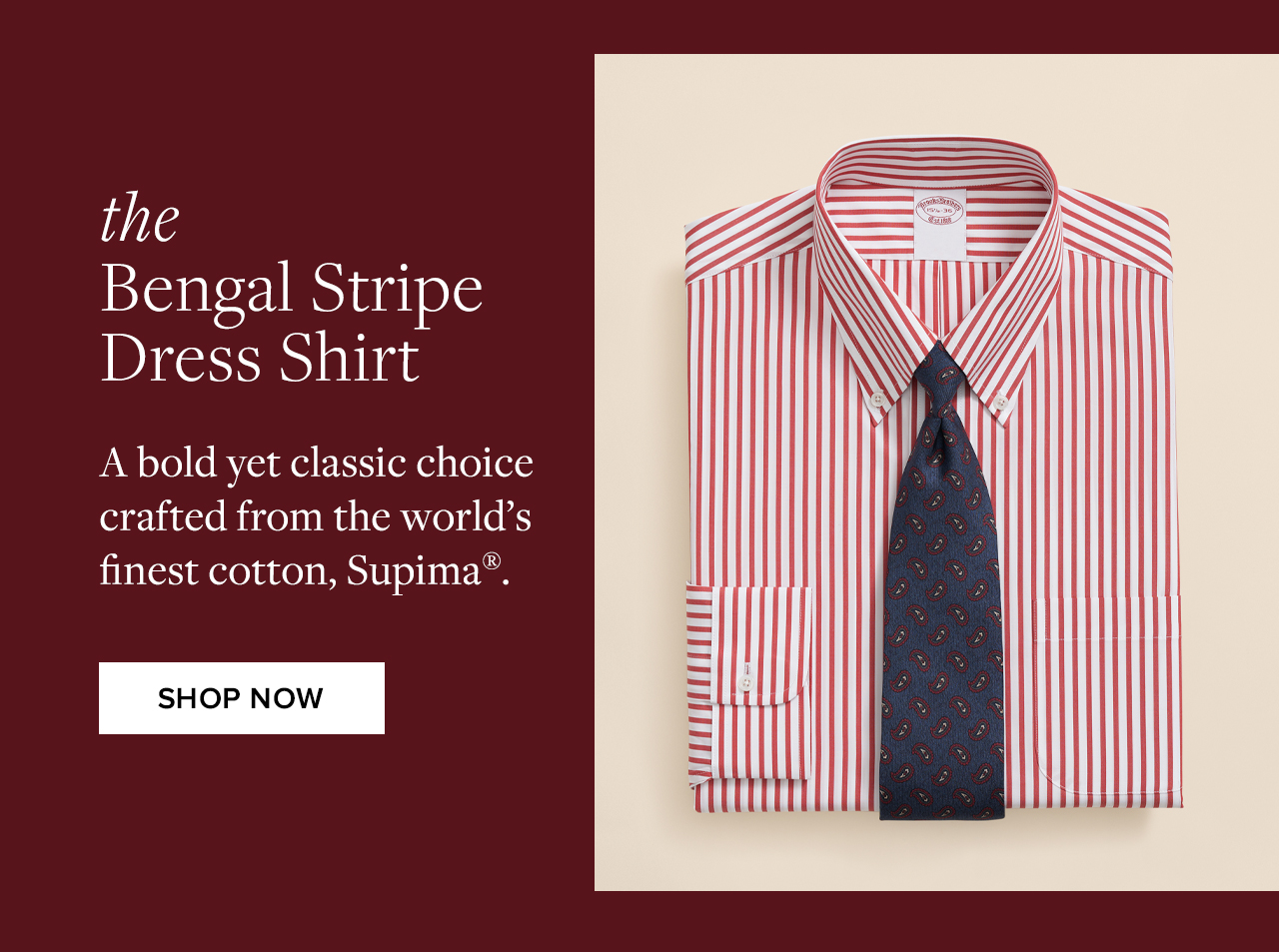 the Bengal Stripe Dress Shirt Shop Now