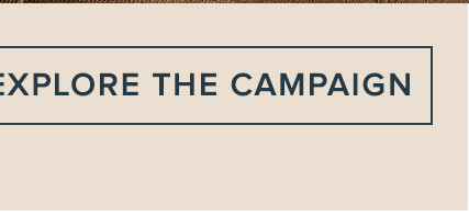 Explore The Campaign