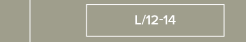 Shop Women's L (12-14)