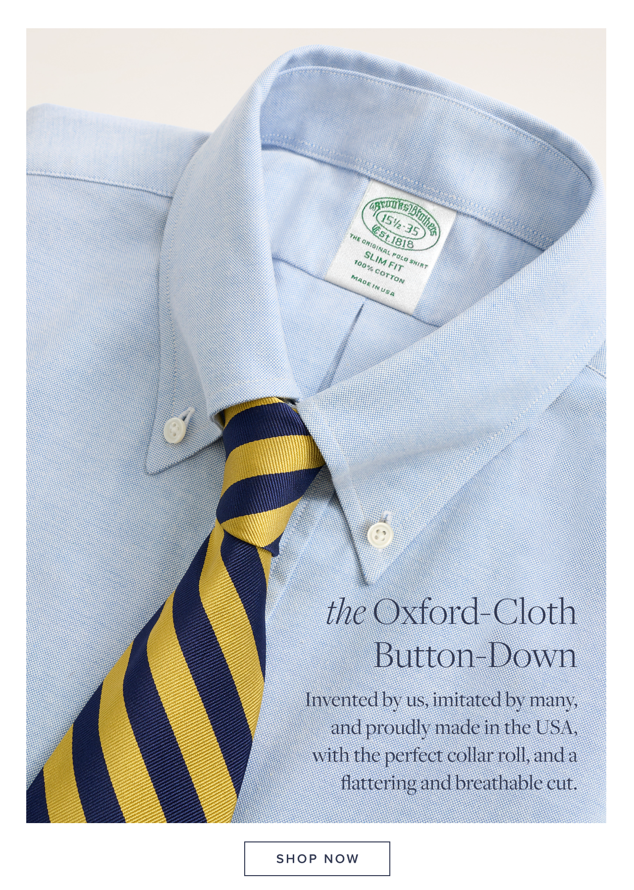 The Oxford-Cloth Button-Down Shop Now