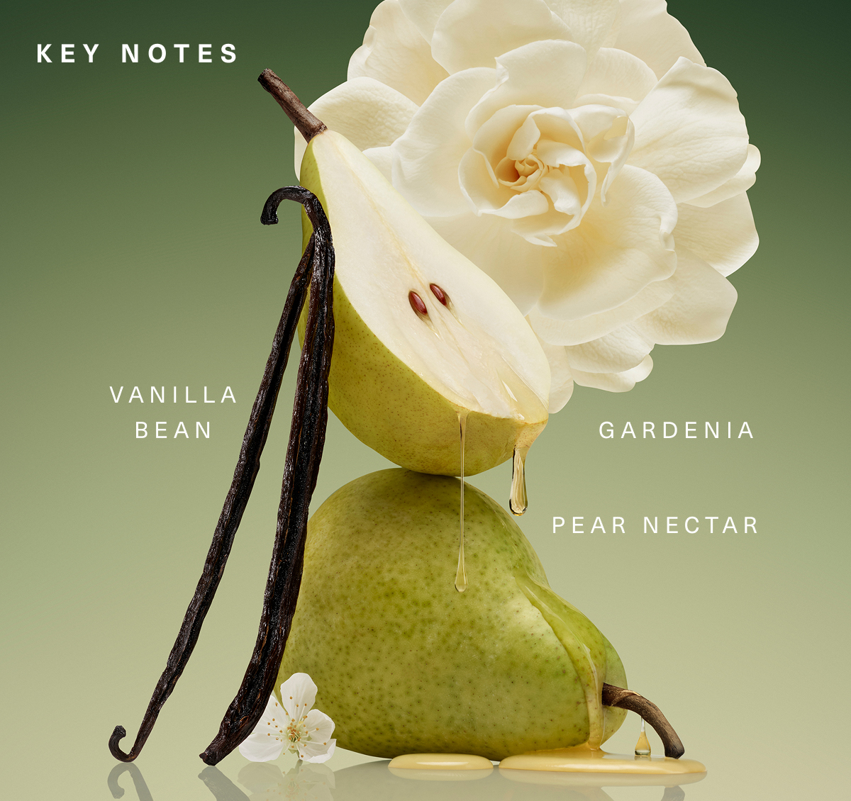 Rare Beginnings Eau de Parfum Scent Notes.