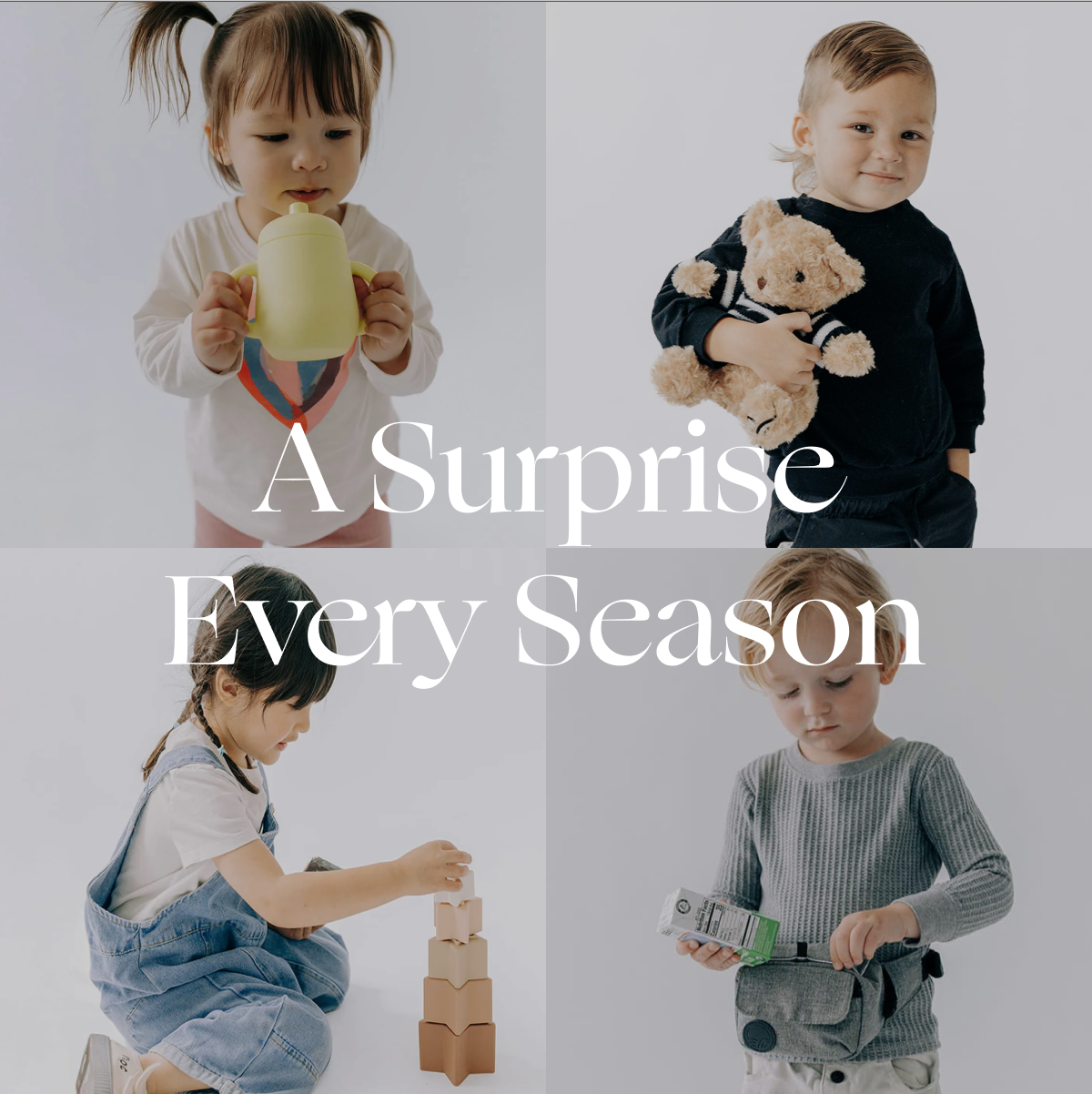 A Surprise Every Season