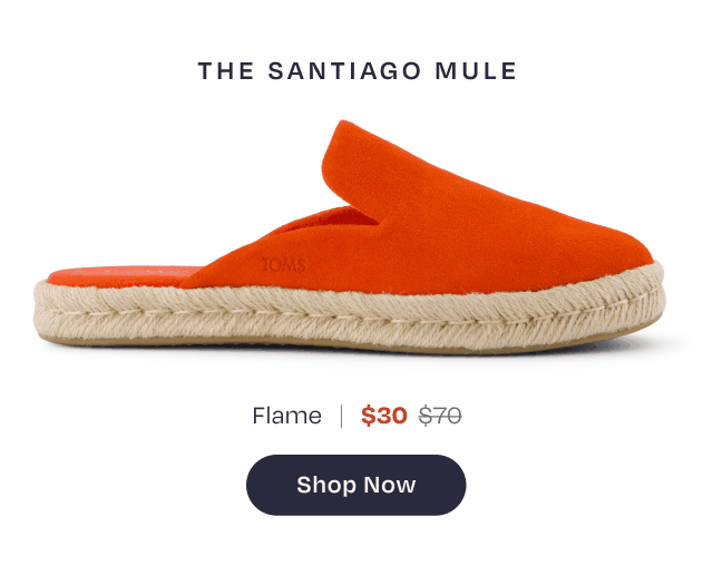 Santiago Mule Espadrille