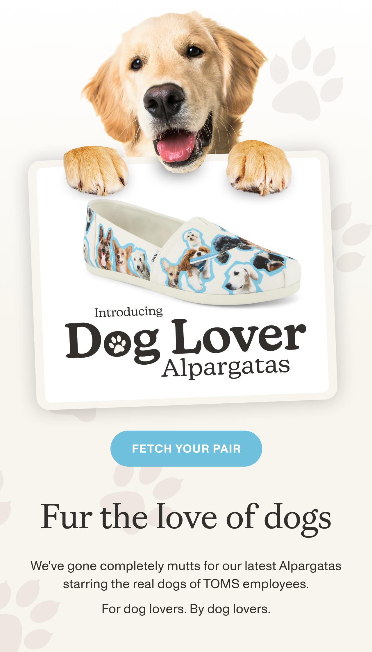 Introducing Dog Lover Alpargatas