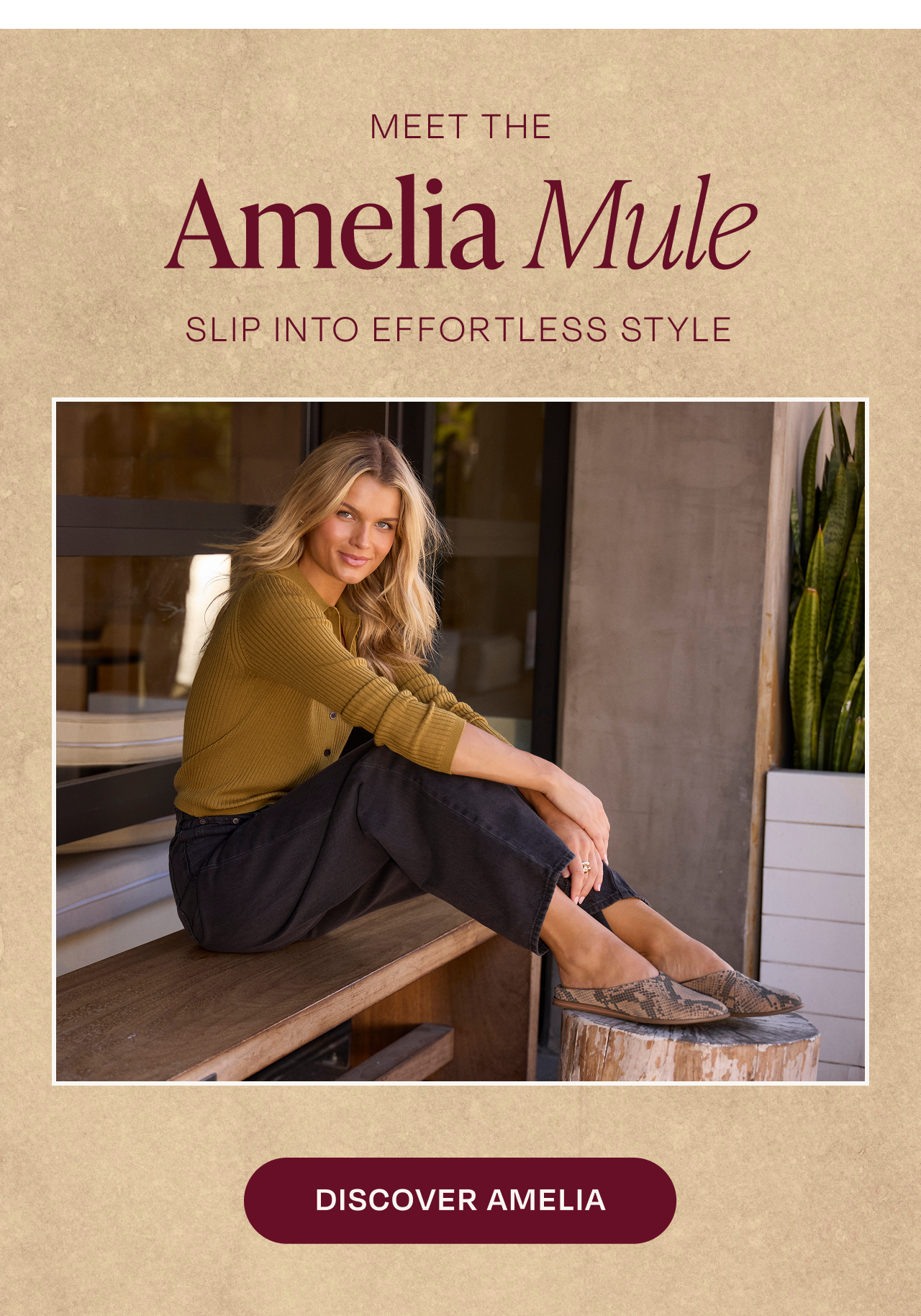 Discover Amelia