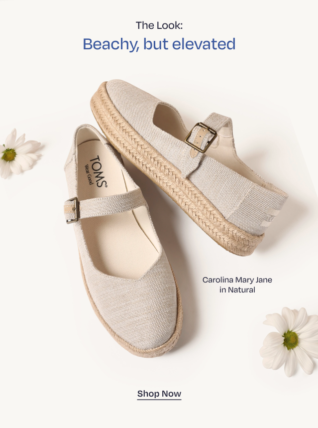 20th Anniversary Collection