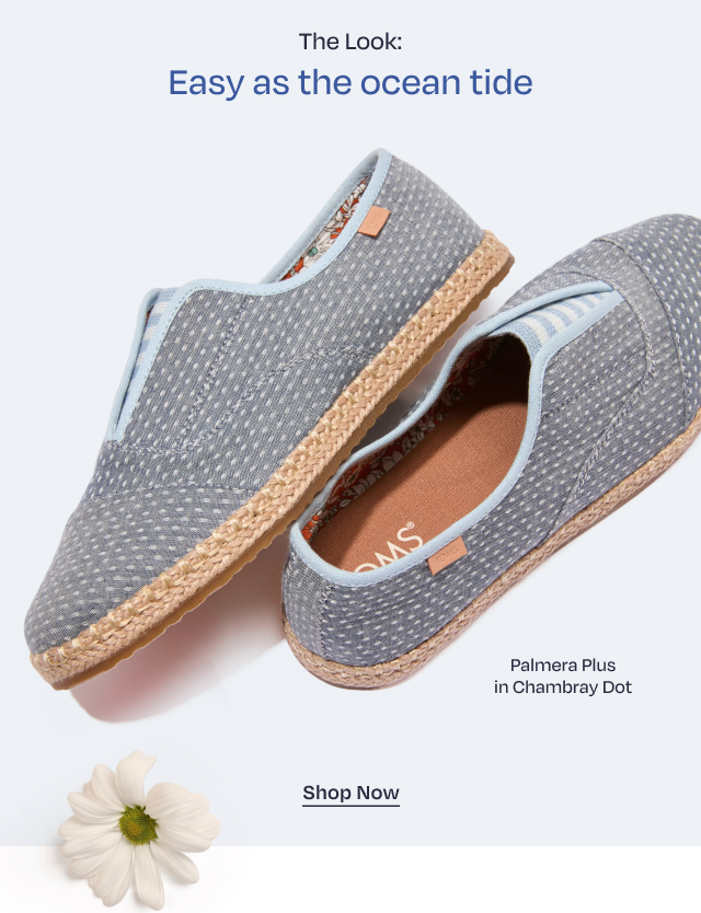 20th Anniversary Collection