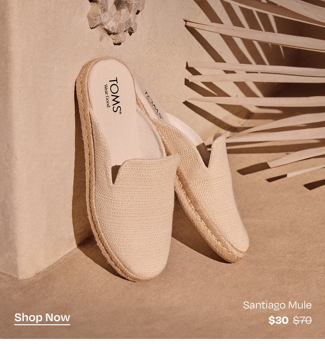 Santiago Mule Espadrille