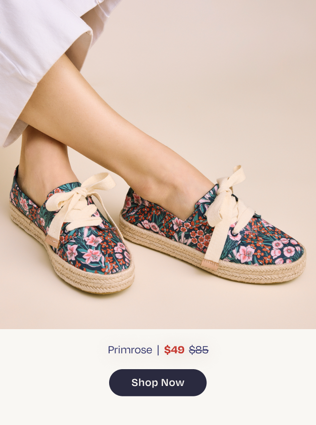 End of Season Clearance: Save Up to 70% Off