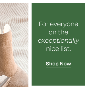 Shop Now Button - Image