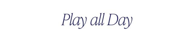 Play all Day - Image