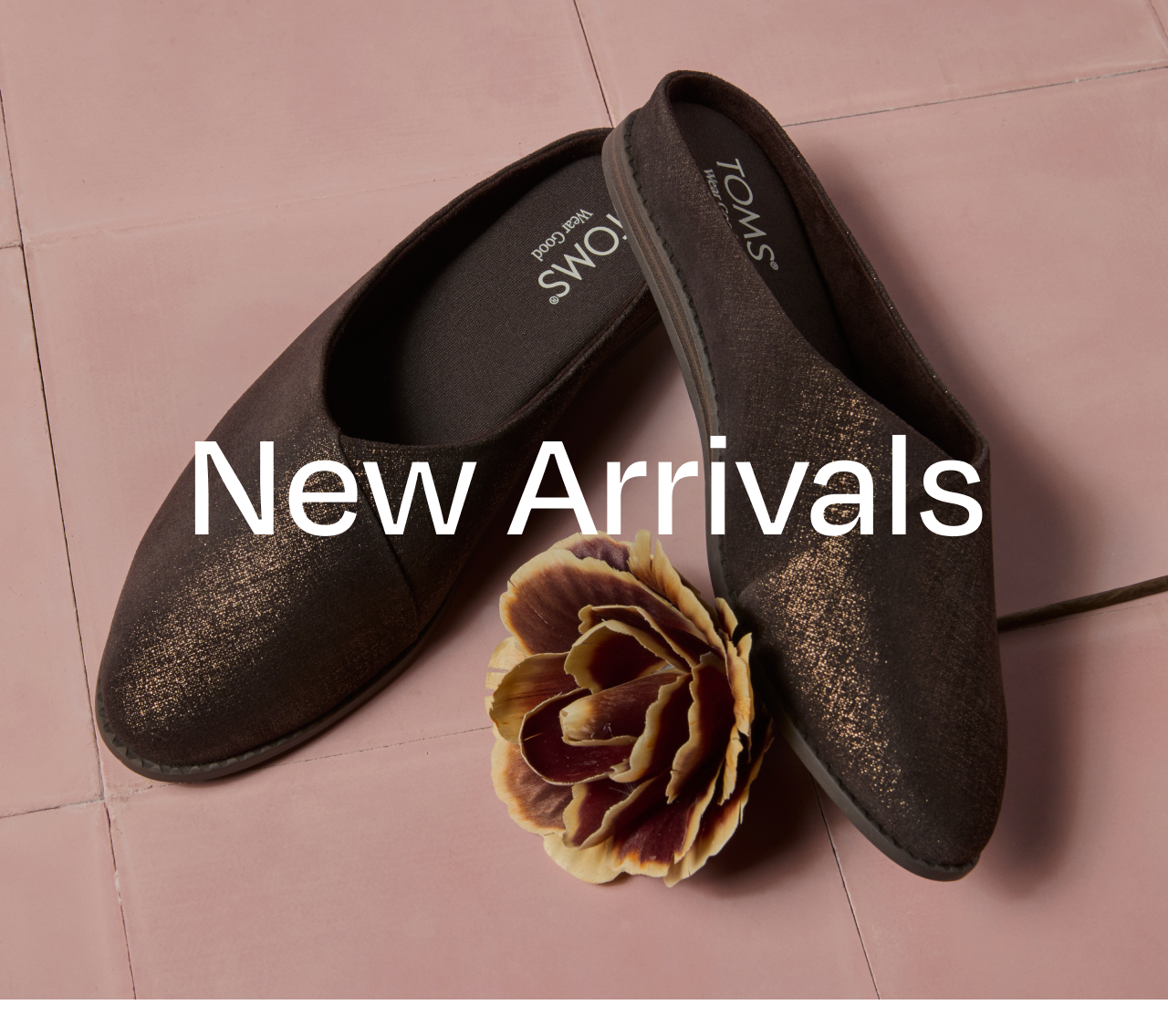 New Arrivals