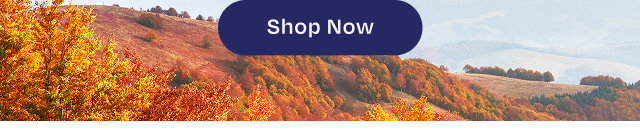 Verona Mid Black Suede Platform Sneaker - Image